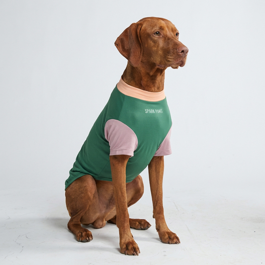 Pistachio Shirt||size:2XL,3XL