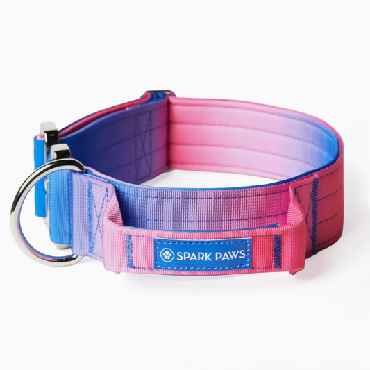 Comfort Control Collar - Snow Cone