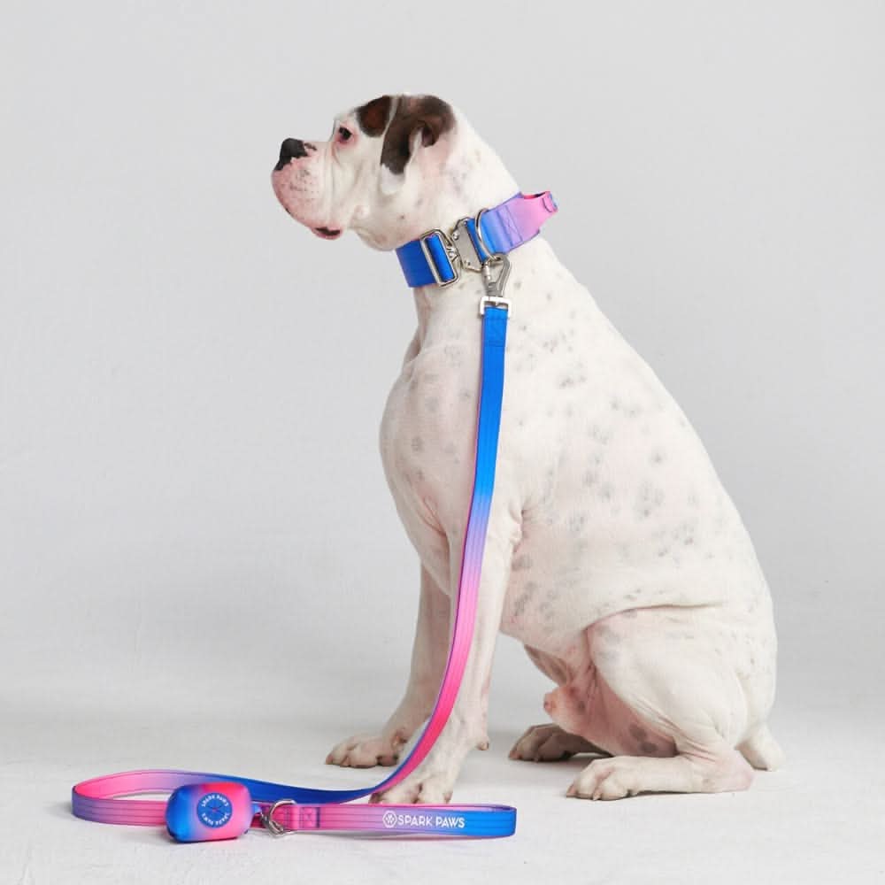 Comfort Control Collar Set - Snow Cone