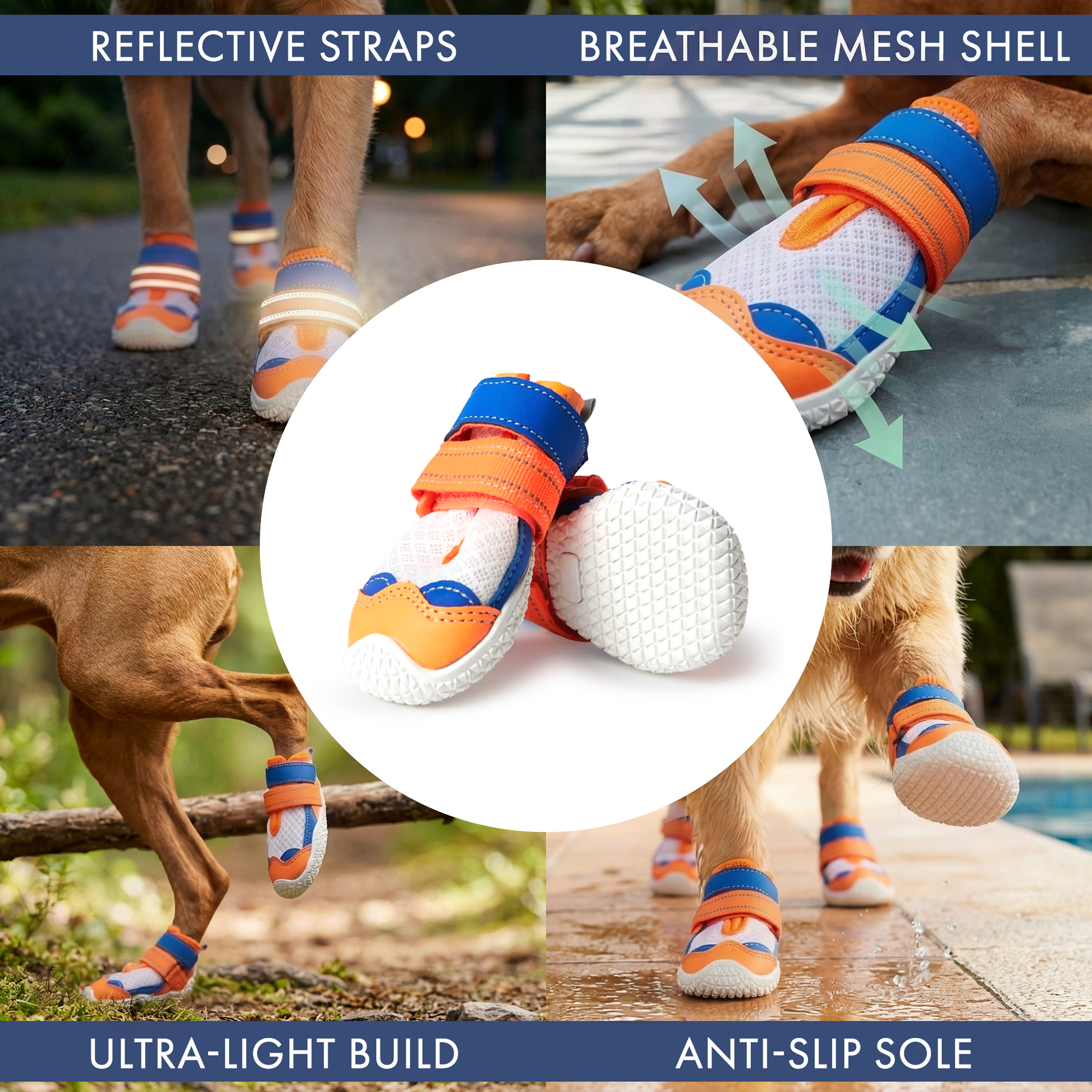 Orange Blue Shoes