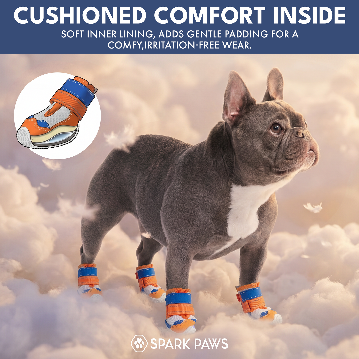 Orange Blue Shoes