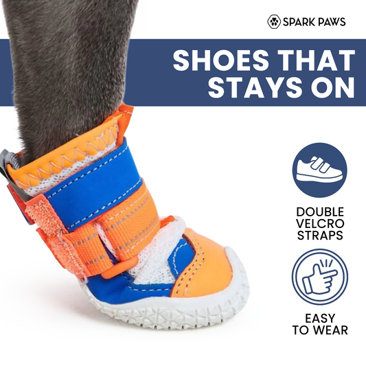 Orange Blue Shoes