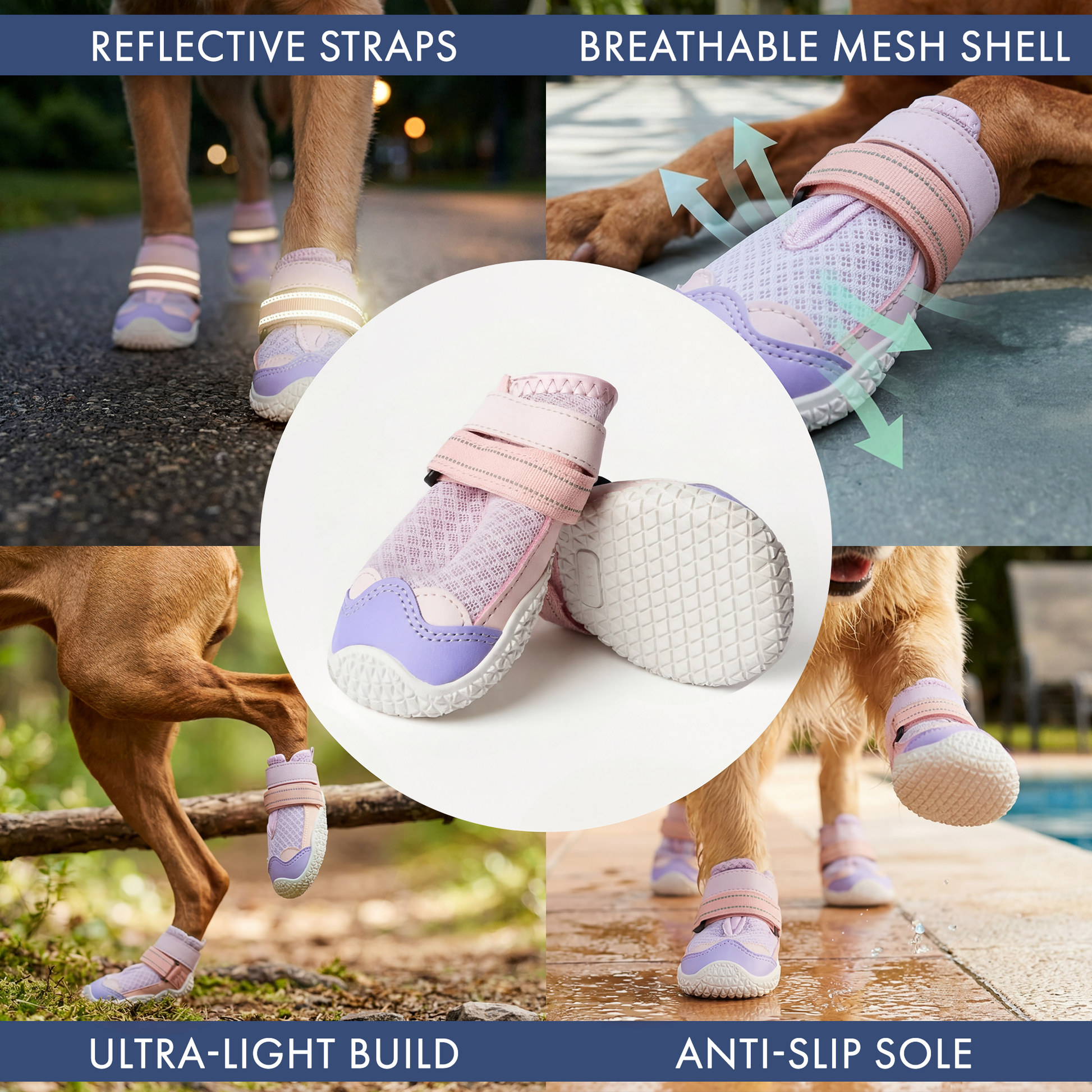 Pink Purple Shoes
