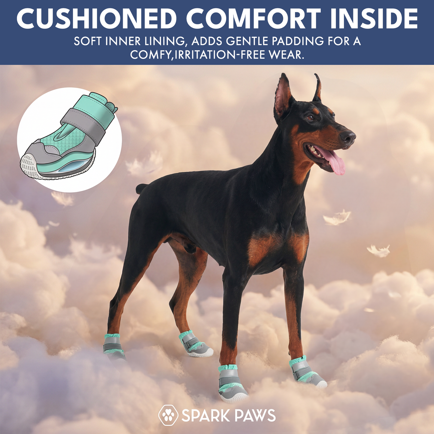 Teal Shoes